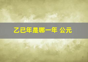 乙已年是哪一年 公元